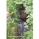 Daire T1 De Letious
