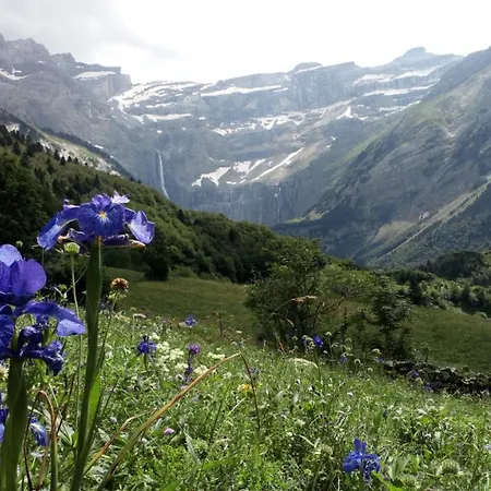 T1 De Letious Люс-Сен-Совёр