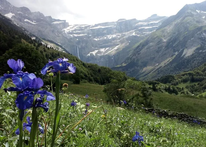 T1 De Letious Luz-Saint-Sauveur